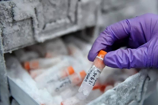 細胞凍存 細胞凍存